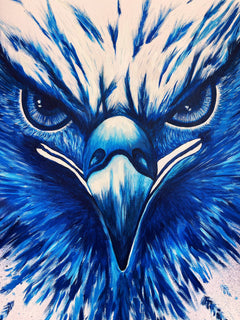 Blue Vision XL