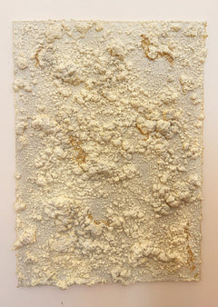 Fragments of Earth