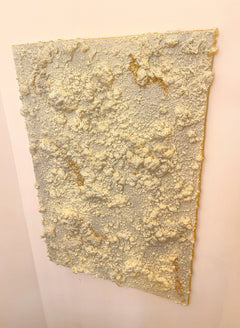 Fragments of Earth